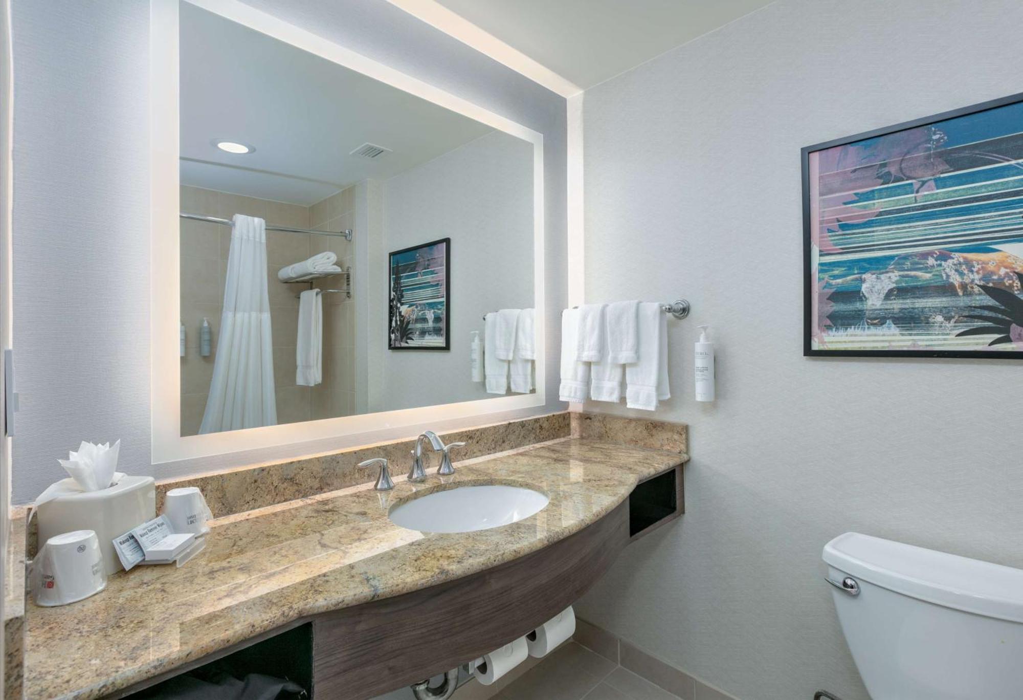 Hilton Garden Inn Dallas Arlington Exteriör bild